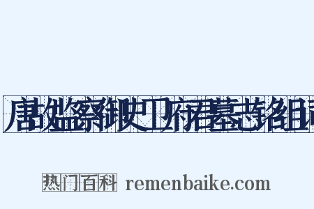 唐故监察御史卫府君墓志铭组词是什么意思的图片